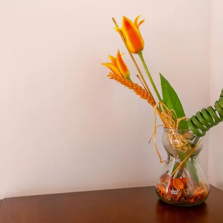 Tia Tomasa * Malpartida de Plasencia